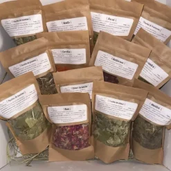 L'EDEN DES PATTOUNES - Box découverte xxl