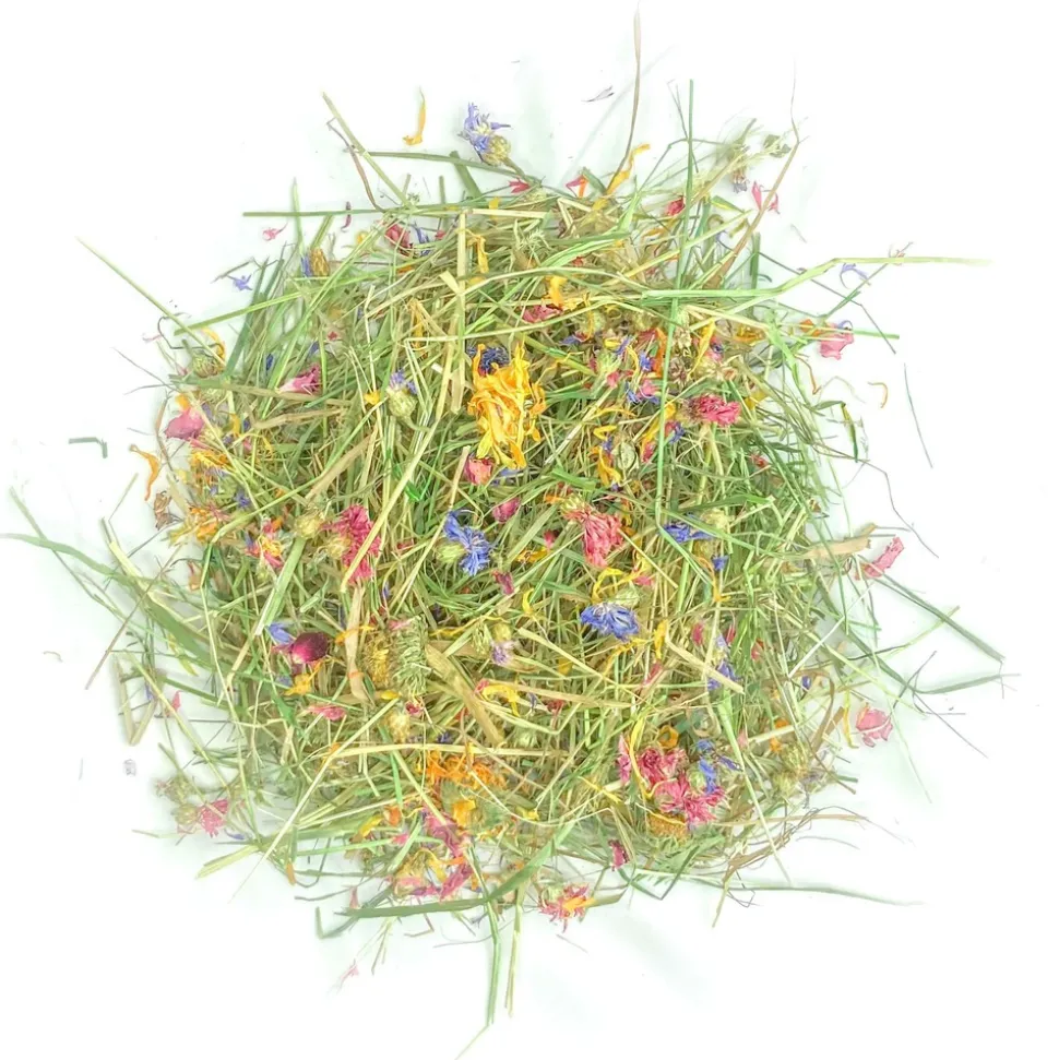 L'EDEN DES PATTOUNES - Foin aromatisé aux fleurs de soucis pour lapins et rongeurs