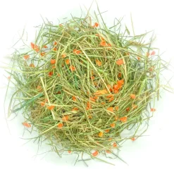 L'EDEN DES PATTOUNES - Foin aromatisé au panais pour lapins et rongeurs