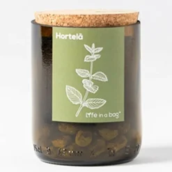 LIFE IN A BAG - Kit bouteille prêt à pousser menthe