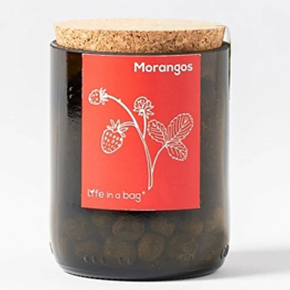 LIFE IN A BAG - Kit bouteille prêt à pousser fraises