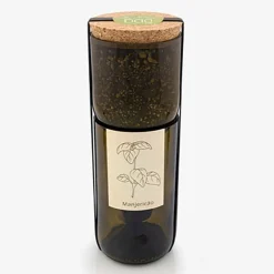 LIFE IN A BAG - Kit irrigation basilic prêt à pousser