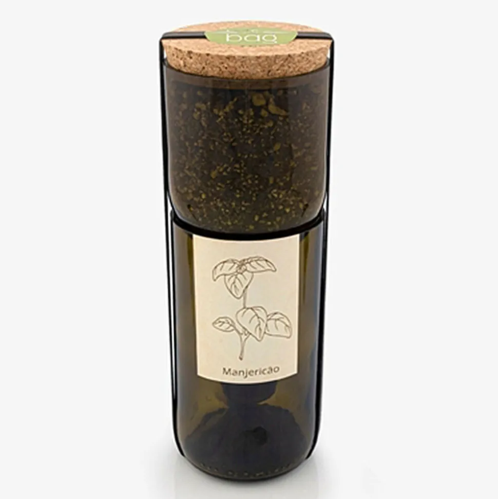 LIFE IN A BAG - Kit irrigation basilic prêt à pousser