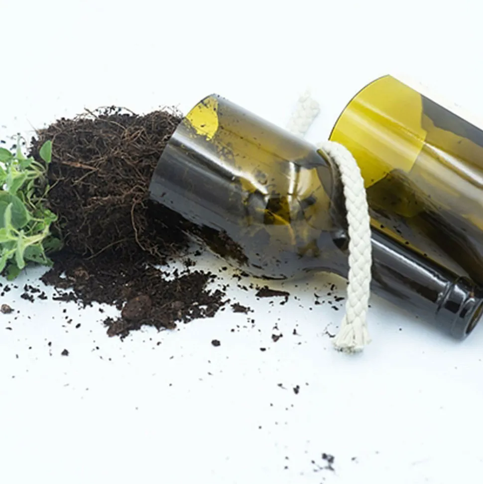 LIFE IN A BAG - Kit irrigation basilic prêt à pousser