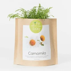 LIFE IN A BAG - Sac papier prêt à cultiver camomille