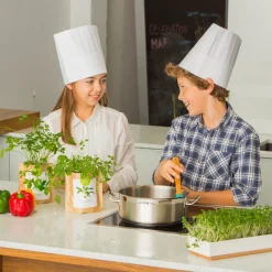 LIFE IN A BAG - Sac papier prêt à cultiver camomille