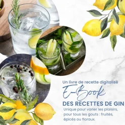 LOUISE & GASTON - Kit découverte aromatisation Gin