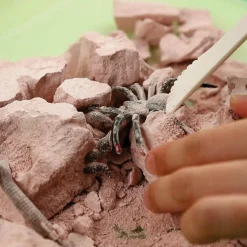 4M - Découverte de la science - kit des insectes rampants