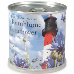 MAC FLOWER'S - Bleuet à faire pousser en boite