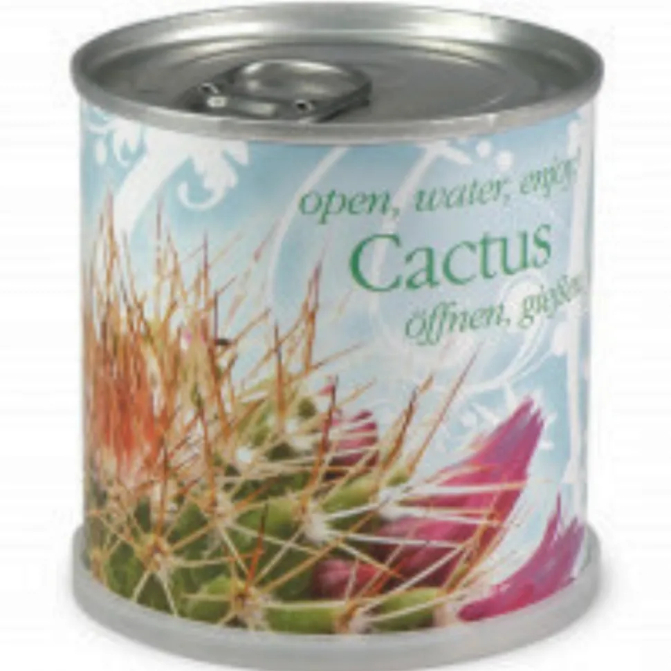 MAC FLOWER'S - Cactus prêt à pousser en canette