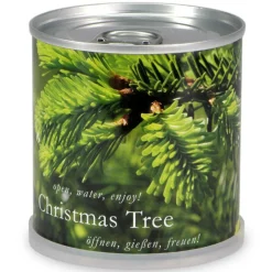 MAC FLOWER'S - Sapin de noël en boite