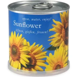 MAC FLOWER'S - Tournesol à faire pousser en boite