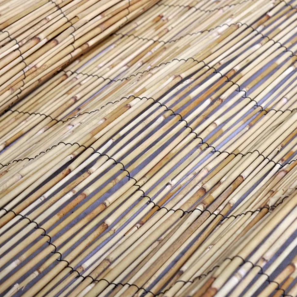 MAISON EXCLUSIVE - Clôture de jardin 500x80 cm roseau