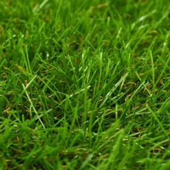MAISON EXCLUSIVE - Gazon artificiel 1x5 m/40 mm vert