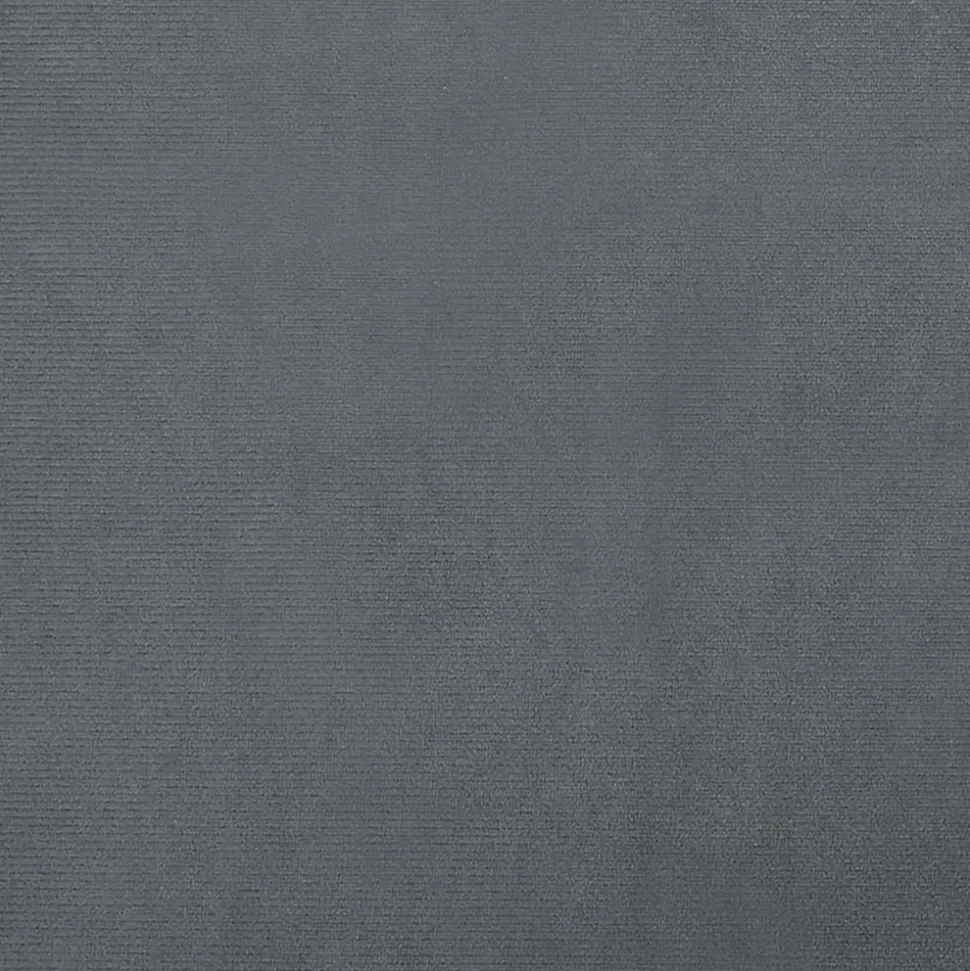 MAISON EXCLUSIVE - Lit pour chien gris foncé 70x48x22 cm velours