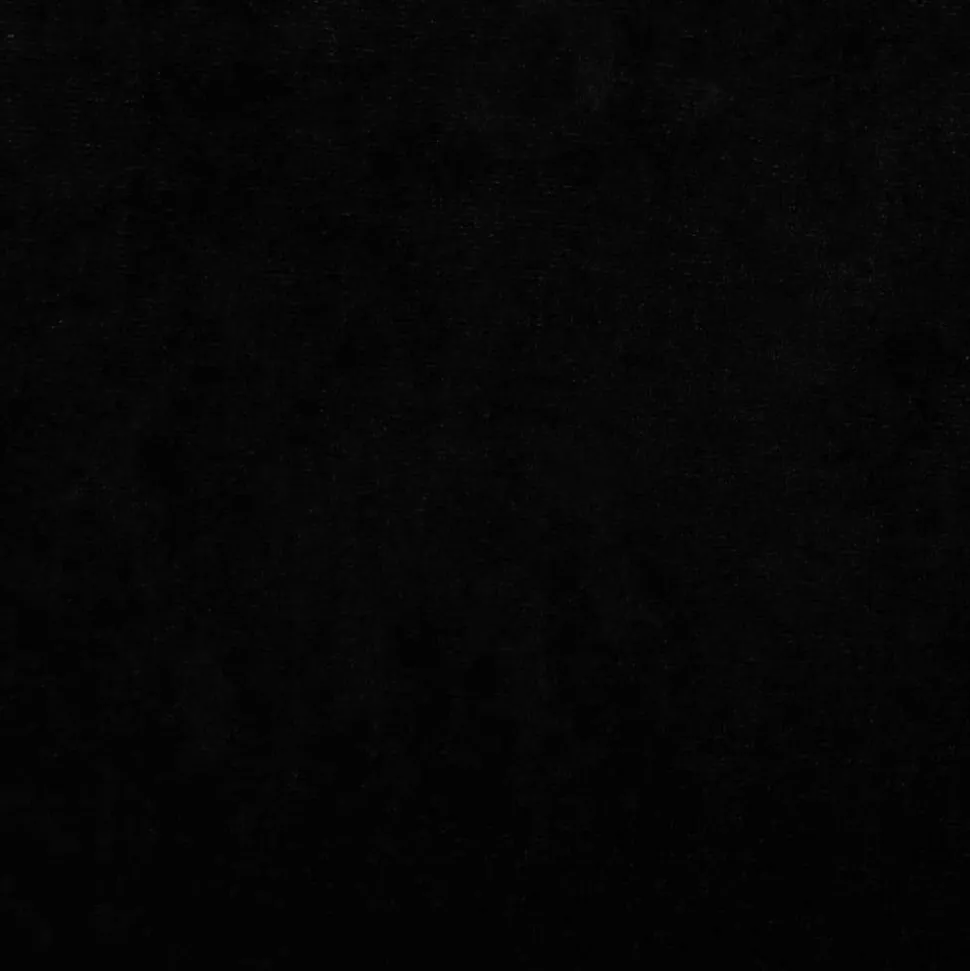 MAISON EXCLUSIVE - Lit pour chien noir 70x40x24 cm velours