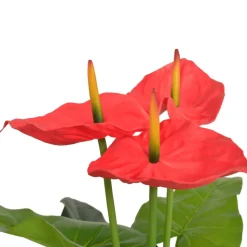 MAISON EXCLUSIVE - Plante artificielle avec pot anthurium 90 cm rouge et jaune