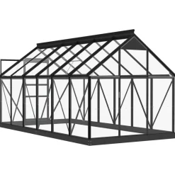 MAISON EXCLUSIVE - Serre en verre anthracite 155x298x191 cm aluminium