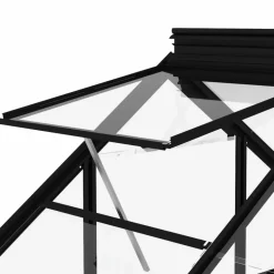 MAISON EXCLUSIVE - Serre en verre anthracite 155x298x191 cm aluminium