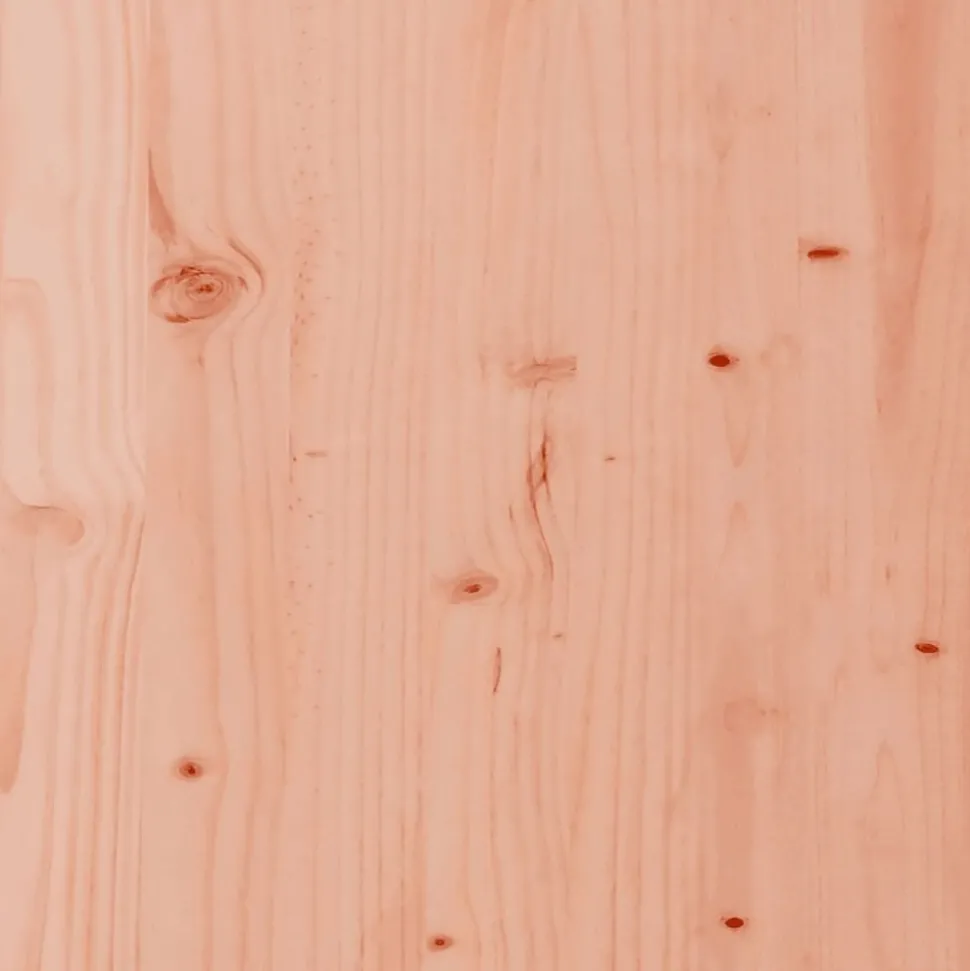 MAISON EXCLUSIVE - Table de pique-nique pour enfants bois massif de douglas