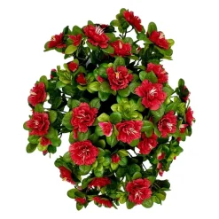 MARICHAL - Coupe de 11 azalée rouge, H37Cm - L44Cm, 3,5Kg