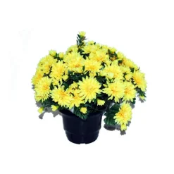 MARICHAL - Pot de chrysantheme pomponette jaune , H32CM - L36Cm, 2Kg