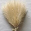 MCBOSON - Herbe de pampa artificielle pour 100 pièces beiges