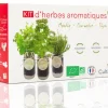 MES COURSES EN VRAC - Cultivea® kit prêt à pousser d’herbes aromatiques - menthe, coriandre, thym