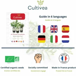 MES COURSES EN VRAC - Cultivea® kit prêt à pousser d’herbes aromatiques - menthe, coriandre, thym