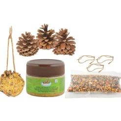 MES COURSES EN VRAC - Diy - mangeoire pomme de pin à fabriquer