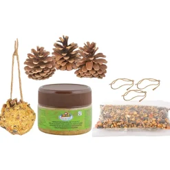 MES COURSES EN VRAC - Diy - mangeoire pomme de pin à fabriquer