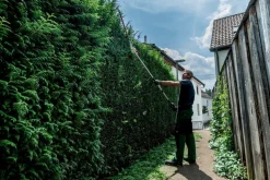 METABO - Accessoires pour taille-haie à perche 18 v ma-hs 50