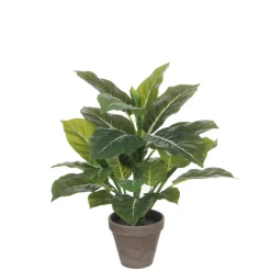MICA - Evergreen vert artificiel H49cm, en pot Stan gris