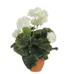 MICA - Geranium en pot Ø 11,5 cm, crème Ø 23 x H. 32 cm