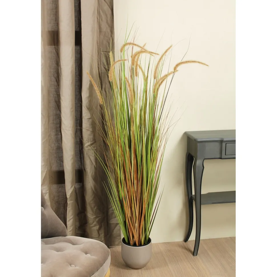 MICA - Herbe panache dogtail en pot, vert H. 150 cm