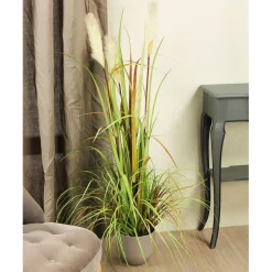 MICA - Herbe panache foxtail en pot, vert H. 120 cm