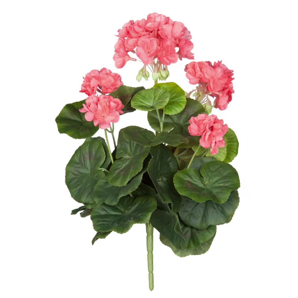 MICA - Piquet geranium, saumon Ø 20 cm