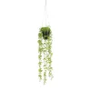 MICA - Plante artificielle : Suspension Eucalyptus en pot vert H.54 x D.9 cm