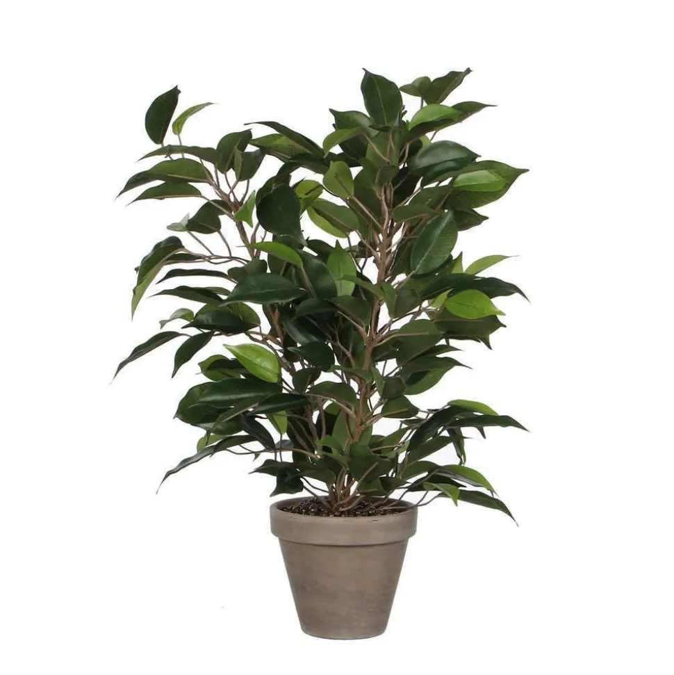 MICA - Plante artificielle : Pot Ficus Natasja D.11 x H.40 cm