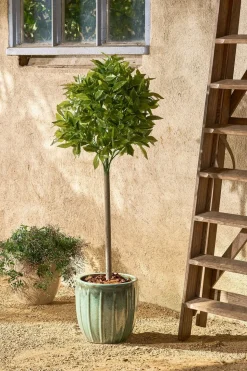 MICA DECORATIONS - Mica decorations - laurier arbre artificiel vert h120