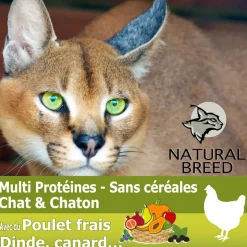 NATURAL BREED - Wild diet fruity perfect cat (poulet frais) - Croquettes pour chat & chaton sans céréales, peu de glucides - 2kg