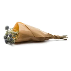 NATURALYS - Botte de fleurs séchées : Echinops bleu - H.50cm