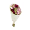 NATURALYS - Bouquet de fleurs séchées : Lovely, coloris blanc/rouge - H.50cm