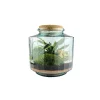 NATURALYS - Terrarium 'Napoli' M : D.23cm - H.25cm