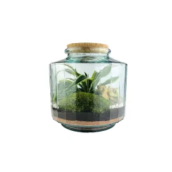 NATURALYS - Terrarium 'Napoli' M : D.23cm - H.25cm