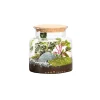 NATURALYS - Terrarium végétal d'intérieur, Jungle Classic taille S : Mix H.20cm