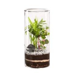 NATURALYS - Terrarium végétal d'intérieur, Green Tower taille M : Mix D.12cm