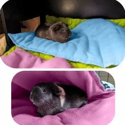 NEO SOLVO - Lot de 2 - tapis pour cochon d'inde et lapin en polaire 70 x 35 cm - absorbant, lavable en machine, economique