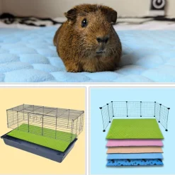 NEO SOLVO - Lot de 4 - tapis qui remplace la litière pour cochon d'inde et lapin - absorbant, imperméable, passe en machine 60 x 50 cm