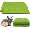 NEO SOLVO - Lot de 2 - tapis qui remplace la litière pour cochon d'inde et lapin - absorbant, imperméable, passe en machine 120 x 60 cm